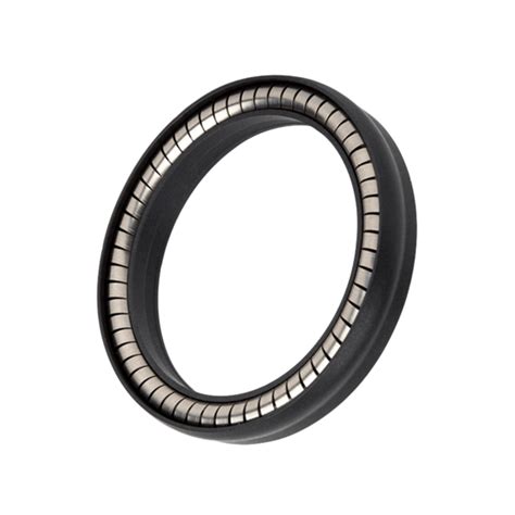 Omniseal® 103 Spring Energized Seals Omniseal Solutions™