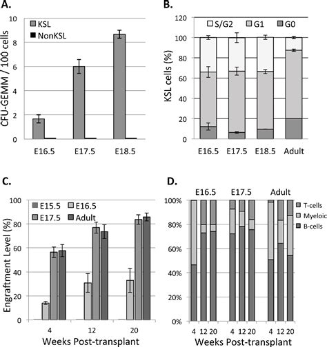 Figure 2 From Development Of The Fetal Bone Marrow Niche And Regulation