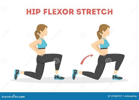 Hip Flexor Anatomy