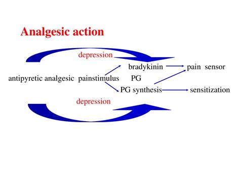 PPT - 解热镇痛抗炎药 Antipyretic analgesic and anti-inflammatory drugs ...