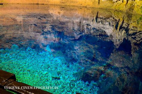 Top 7 Melhores Cenotes de Cancun e Riviera Maya Dicas e Preços