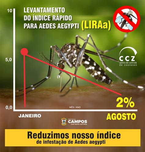 Liraa Aponta Redu O De Ndice De Infesta O De Aedes Aegypti Em Campos