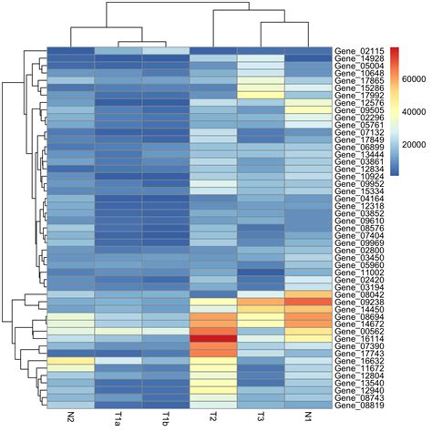 Making A Heatmap In R With The Pheatmap Package Dave Tang S Blog