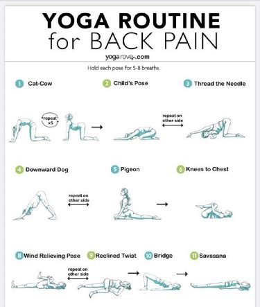 5 safe core exercises for back pain – Artofit