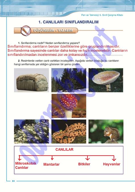 Sek Yay Nlar Sinif Fen Ve Teknoloji Al Ma Kitabi Cevaplar Sayfa