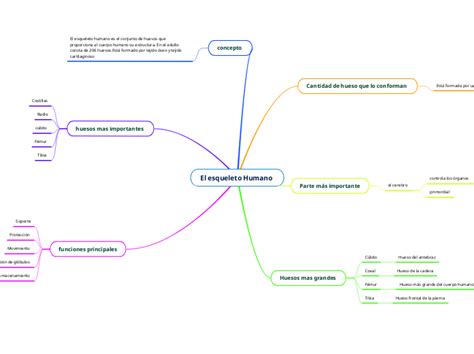 Mapa Mental El Esqueleto Humano Tisnad Mind Map