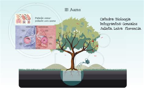 El Asma By Julii Gonzalez On Prezi