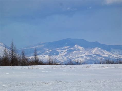 昨日僅かな雪が降ったので様子見に行った 十勝の山里で山遊び