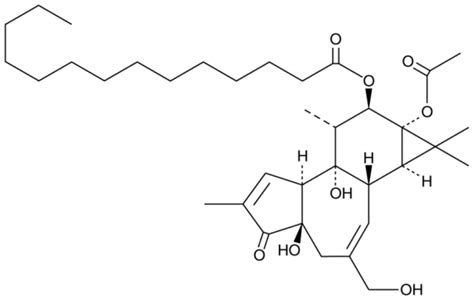 Phorbol Myristate Acetate Cas Cayman Chemical