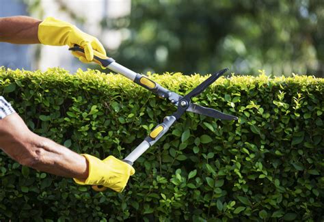 Til Jouw Tuin Naar Een Hoger Niveau Met Krachtige Tuinmachines