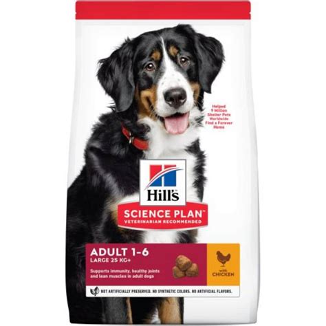 Hill's Adult Large Breed Dry Dog Food Chicken | Pet Hero