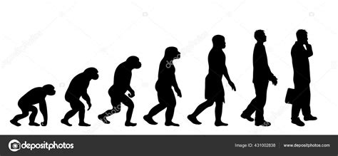 Teor A Pintada Evoluci N Del Hombre Silueta Vectorial Del Homo Sapiens