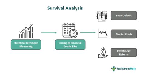 Survival Analysis What Is It Examples Assumptions Applications