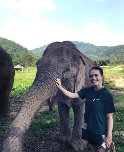 Best Ethical Elephant Sanctuaries In Thailand The Vegan Abroad