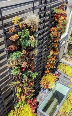 Artfully Expressive Living Wall Design By Christine Dunkley Plants On