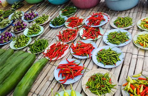 Tipos de pimenta escala de ardência e como utilizar cada uma