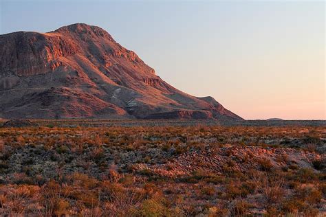 Do Humans Live In The Chihuahuan Desert Worldatlas