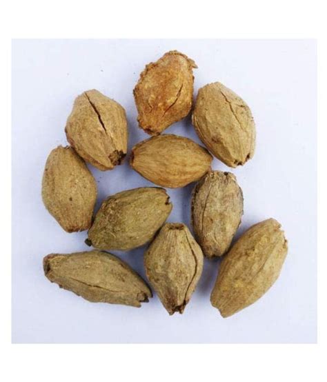 Malabar Neem Or Melia Dubia Tree Seeds Fast Growing Timber Tree Buy