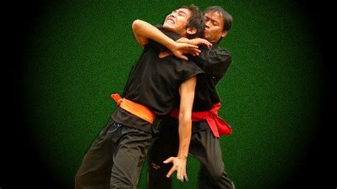 Pencak Silat Ciung Wanara Self Defense Softarchive