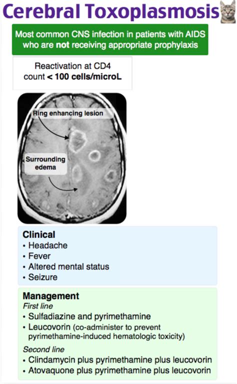 EmDOCs Net Emergency Medicine EducationEM 3AM CNS Toxoplasmosis In