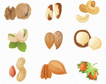 Free Cliparts No Nuts, Download Free Cliparts No Nuts png images, Free ClipArts on Clipart Library