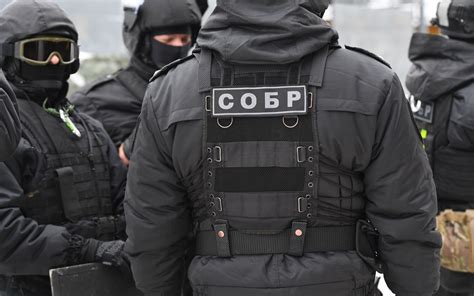 Картинки собр - 70 фото