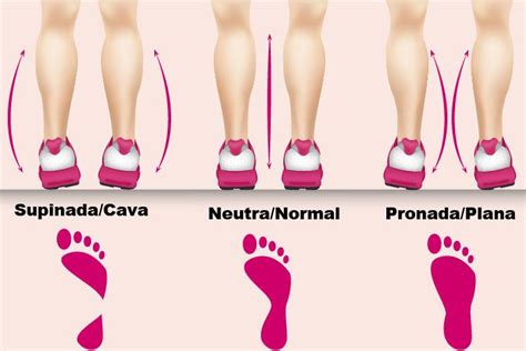 Como Saber Que Tipo De Pisada Tengo Ppgbbe Intranet Biologia Ufrj Br