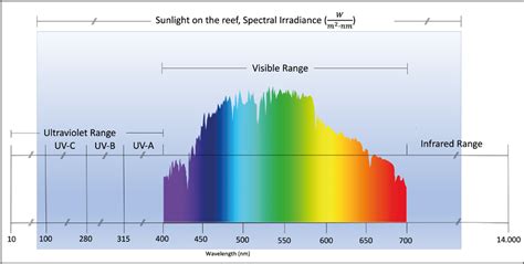 The Optimal Light Spectrum in a Reef Aquarium | Reef2Reef