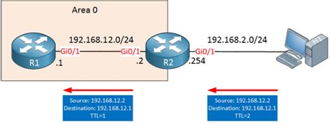 Ospf Ttl Security Check