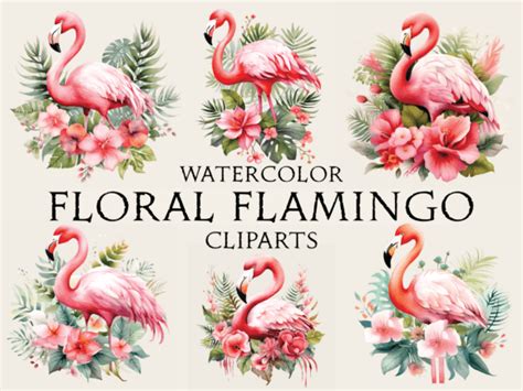 Watercolor Flamingo Cliparts Graphic By Abdel Designer Creative Fabrica