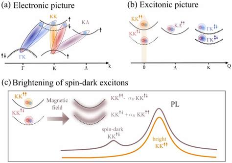 Exciton Dispersion And Influence Of A Magnetic Field A Electronic