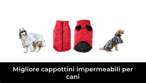 Migliore Cappottini Impermeabili Per Cani Nel Secondo Gli Esperti