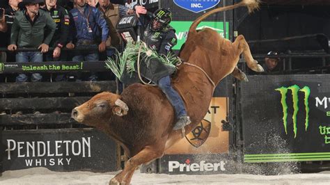 Buck Around And Find Out — Professional Bull Riders Bring Thrills To