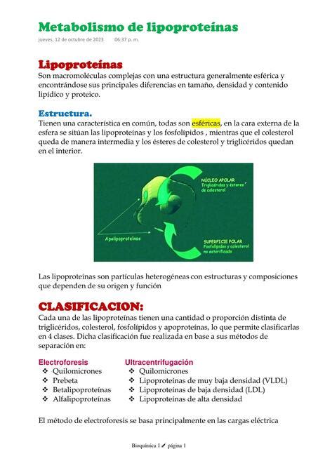 Metabolismo de lipoproteínas Samantha Shernandez uDocz