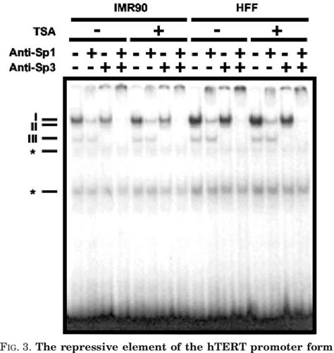 Figure From Sp And Sp Recruit Histone Deacetylase To Repress