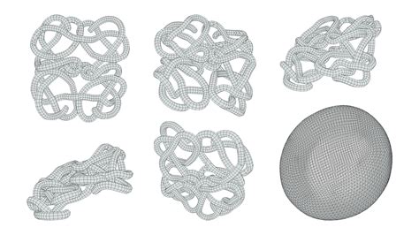 The Structure of Hemoglobin 3D Model