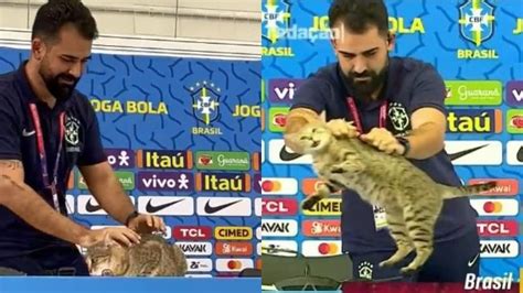 Gato invade coletiva da seleção brasileira é retirado de forma