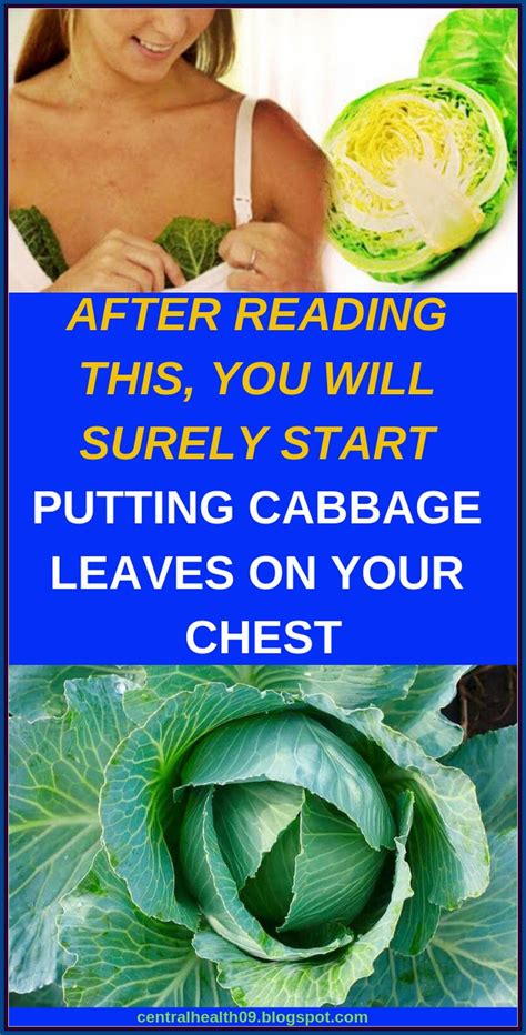 Put A Cabbage Leaf On Your Breast In 2024