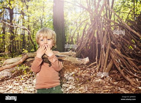 Boy With Brushwood Pile In Forest Build Hut Of Branches Stock Photo Alamy