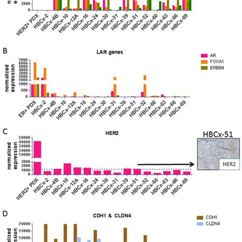 Rt Pcr Expression Analysis Of Selected Genes Differentially Expressed