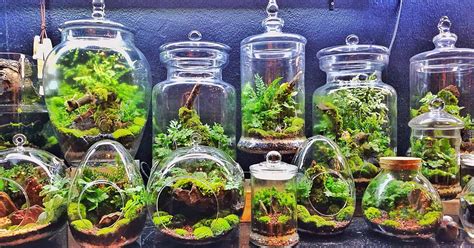 How To Make Your Own Terrarium Gardeners Path