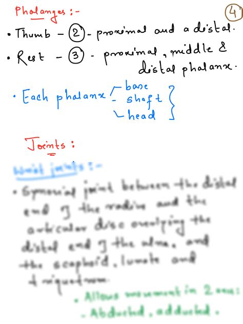 SOLUTION Bd Chaurasia Hand Anatomy Handwritten Notes Studypool