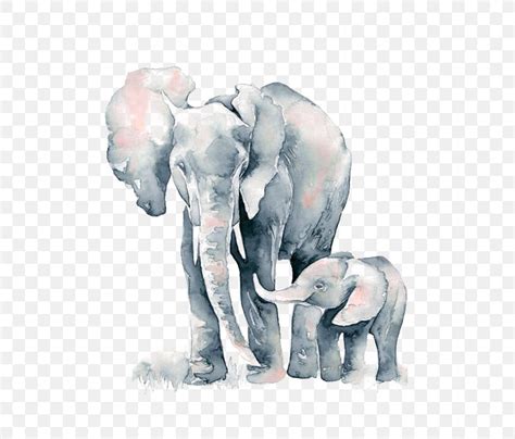 Watercolor Painting African Elephant Drawing, PNG, 564x699px, African Elephant, Art, Asian ...