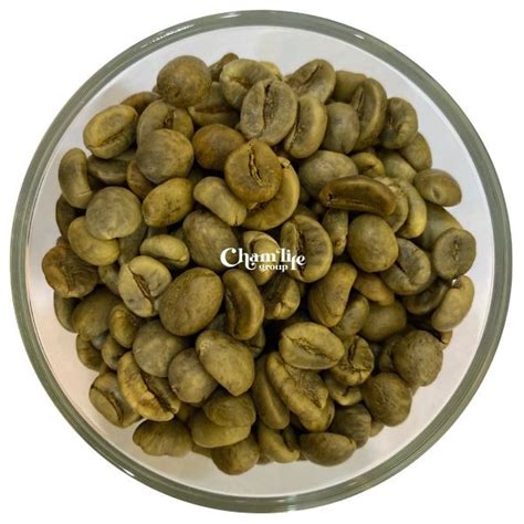 Buy Robusta Wet Polished G S From Chamlife Group Trading Joint Stock