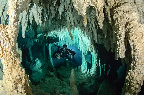 Cave Diving In Yucatan Stages De Plong E Souterraine Mexique