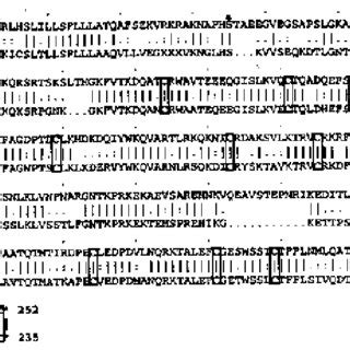 Comparison Of Mouse Top And Human Bottom Fgfbp Amino Acid