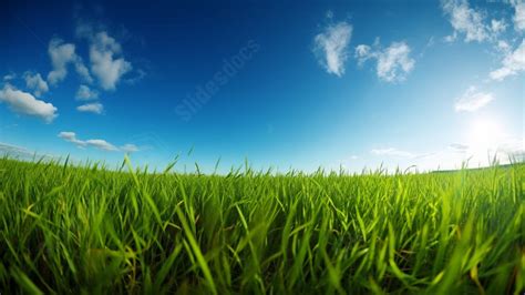 Grass Green Grass Blue Sky Real Powerpoint Background For Free Download ...