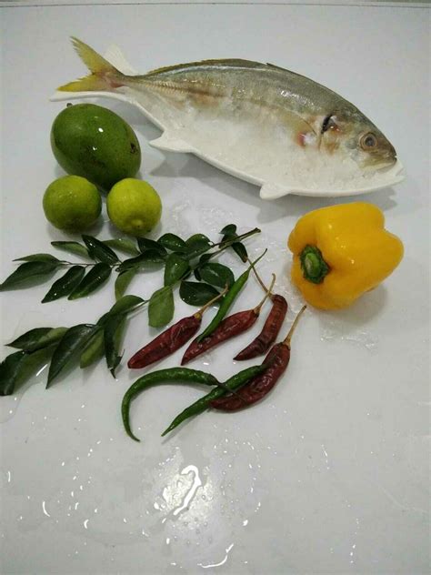 Yellow Tail Ayala Para Horse Mackerel Vankadaper Kg