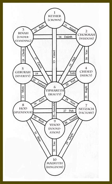 Diagram Drawing Tree Of Life Diagram Mydiagramonline