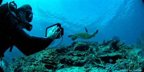 Street View Treks: Great Barrier Reef – About – Google Maps